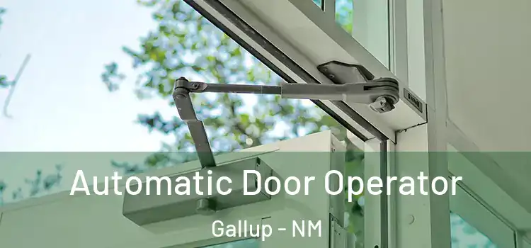  Automatic Door Operator Gallup - NM