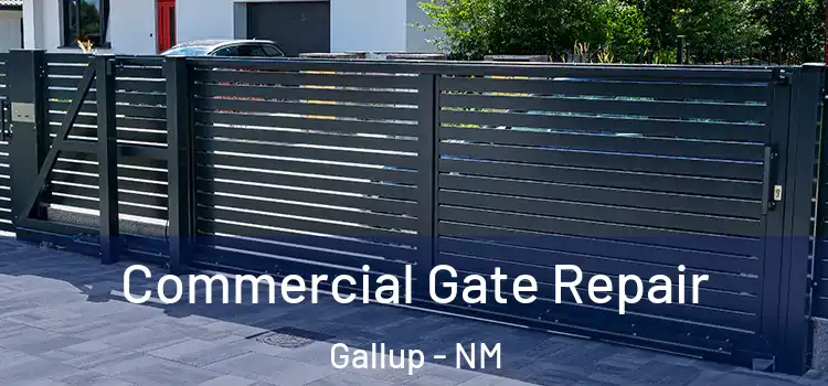  Commercial Gate Repair Gallup - NM