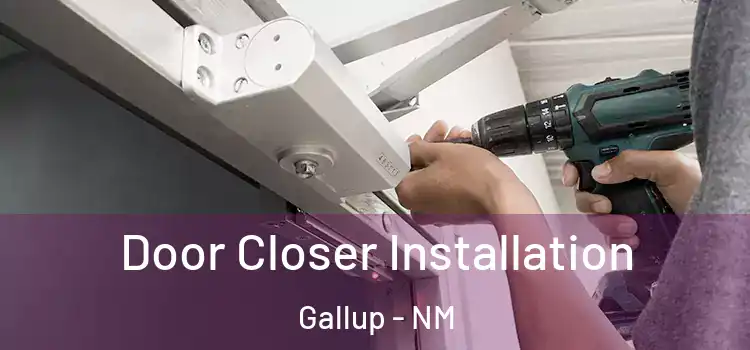  Door Closer Installation Gallup - NM