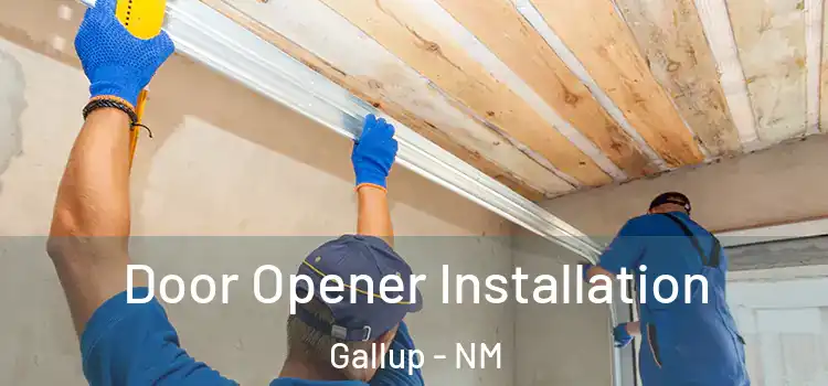 Door Opener Installation Gallup - NM