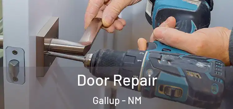 Door Repair Gallup - NM