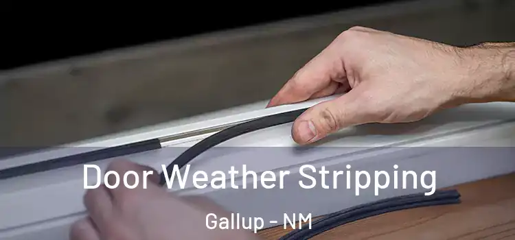  Door Weather Stripping Gallup - NM