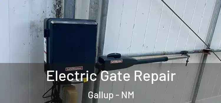  Electric Gate Repair Gallup - NM
