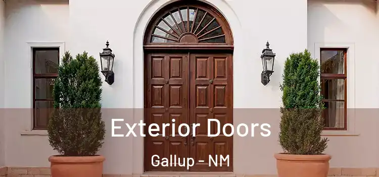  Exterior Doors Gallup - NM