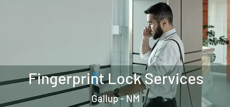  Fingerprint Lock Services Gallup - NM