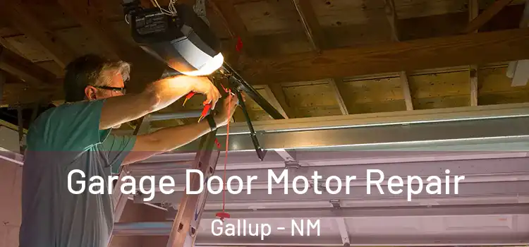  Garage Door Motor Repair Gallup - NM