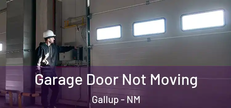  Garage Door Not Moving Gallup - NM