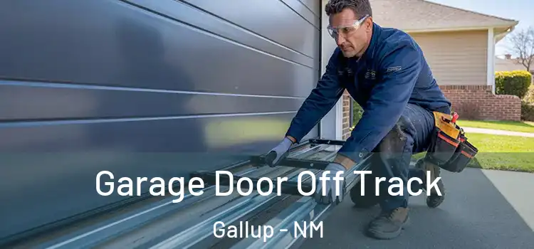  Garage Door Off Track Gallup - NM