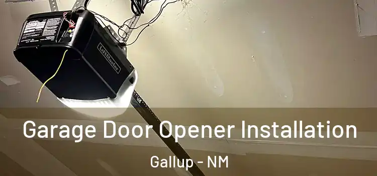  Garage Door Opener Installation Gallup - NM