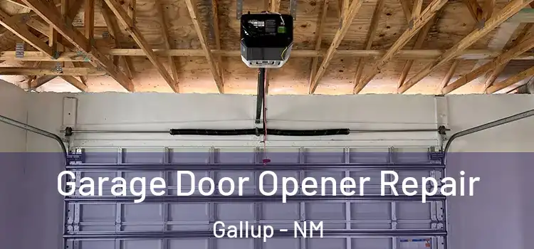  Garage Door Opener Repair Gallup - NM