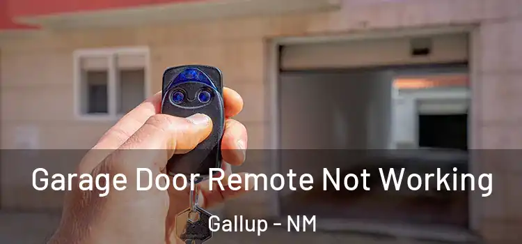  Garage Door Remote Not Working Gallup - NM