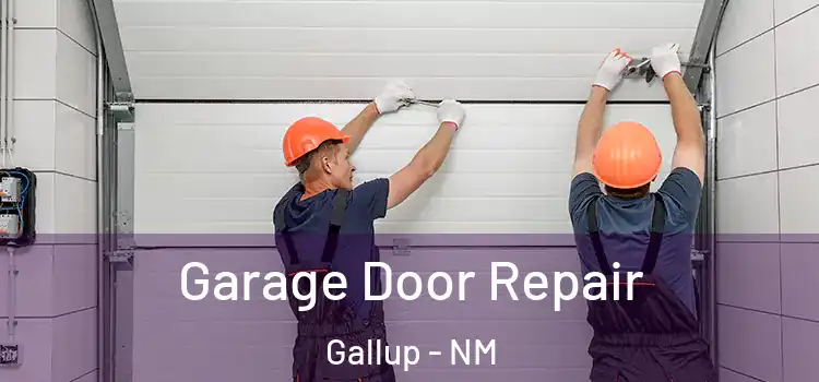  Garage Door Repair Gallup - NM