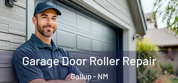  Garage Door Roller Repair Gallup - NM