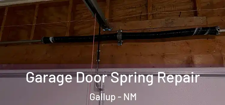  Garage Door Spring Repair Gallup - NM