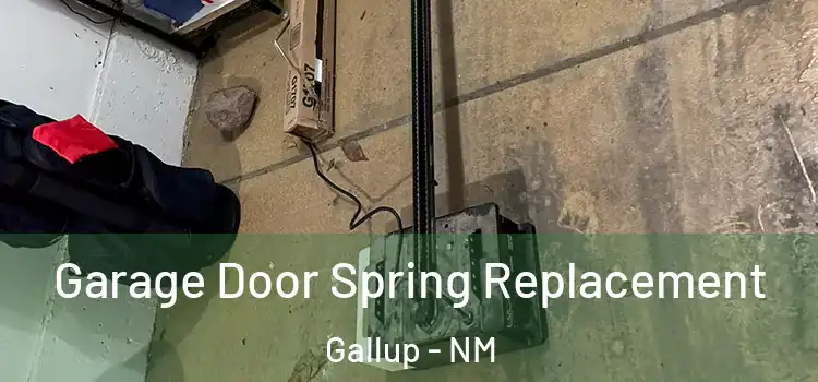  Garage Door Spring Replacement Gallup - NM