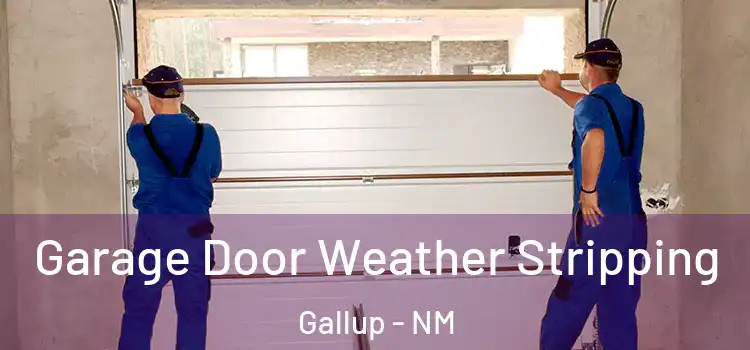  Garage Door Weather Stripping Gallup - NM