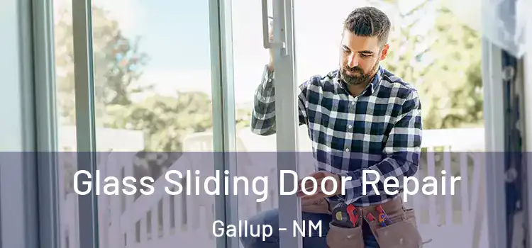  Glass Sliding Door Repair Gallup - NM