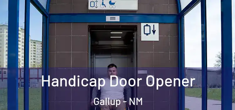  Handicap Door Opener Gallup - NM