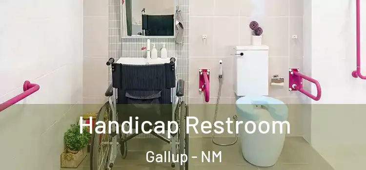Handicap Restroom Gallup - NM