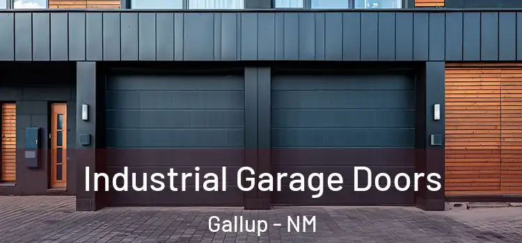  Industrial Garage Doors Gallup - NM