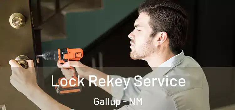 Lock Rekey Service Gallup - NM