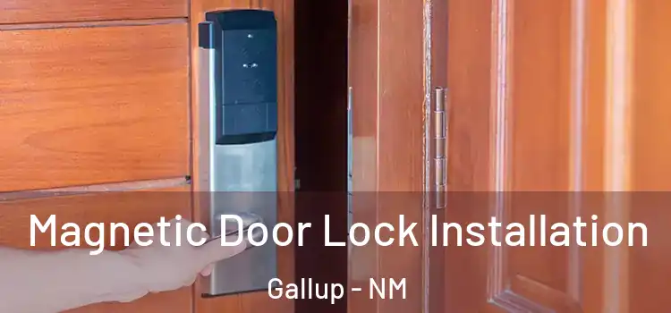  Magnetic Door Lock Installation Gallup - NM