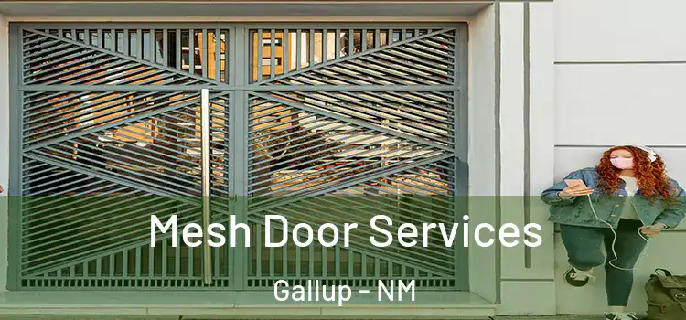  Mesh Door Services Gallup - NM
