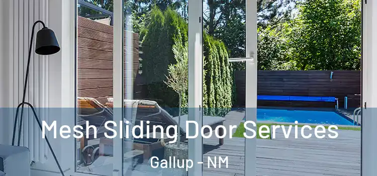Mesh Sliding Door Services Gallup - NM