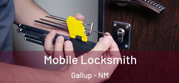  Mobile Locksmith Gallup - NM