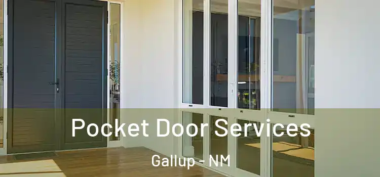  Pocket Door Services Gallup - NM