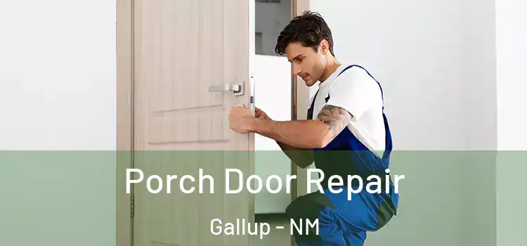  Porch Door Repair Gallup - NM