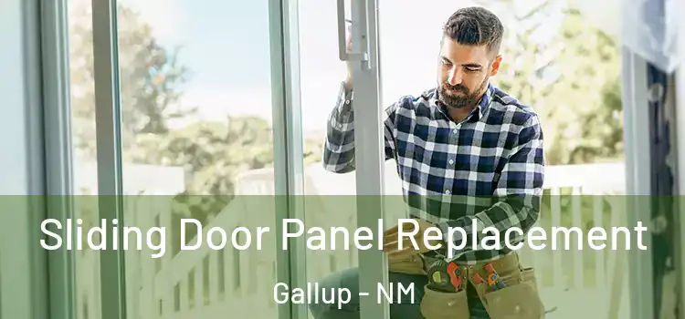  Sliding Door Panel Replacement Gallup - NM