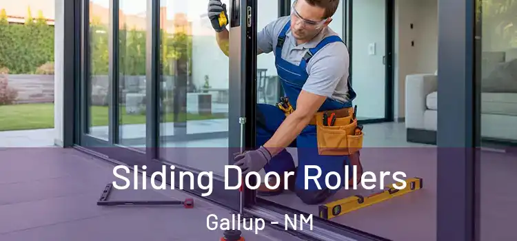  Sliding Door Rollers Gallup - NM